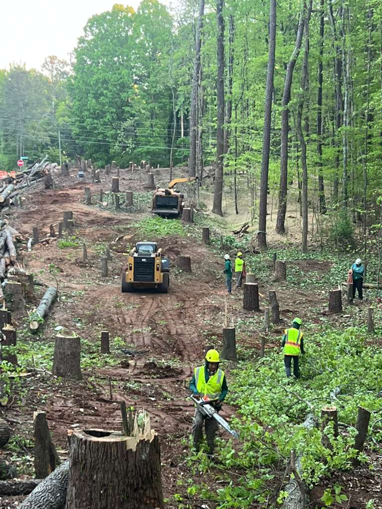 Crew clearing a wooded lot with chainsaws and heavy equipment in North Georgia